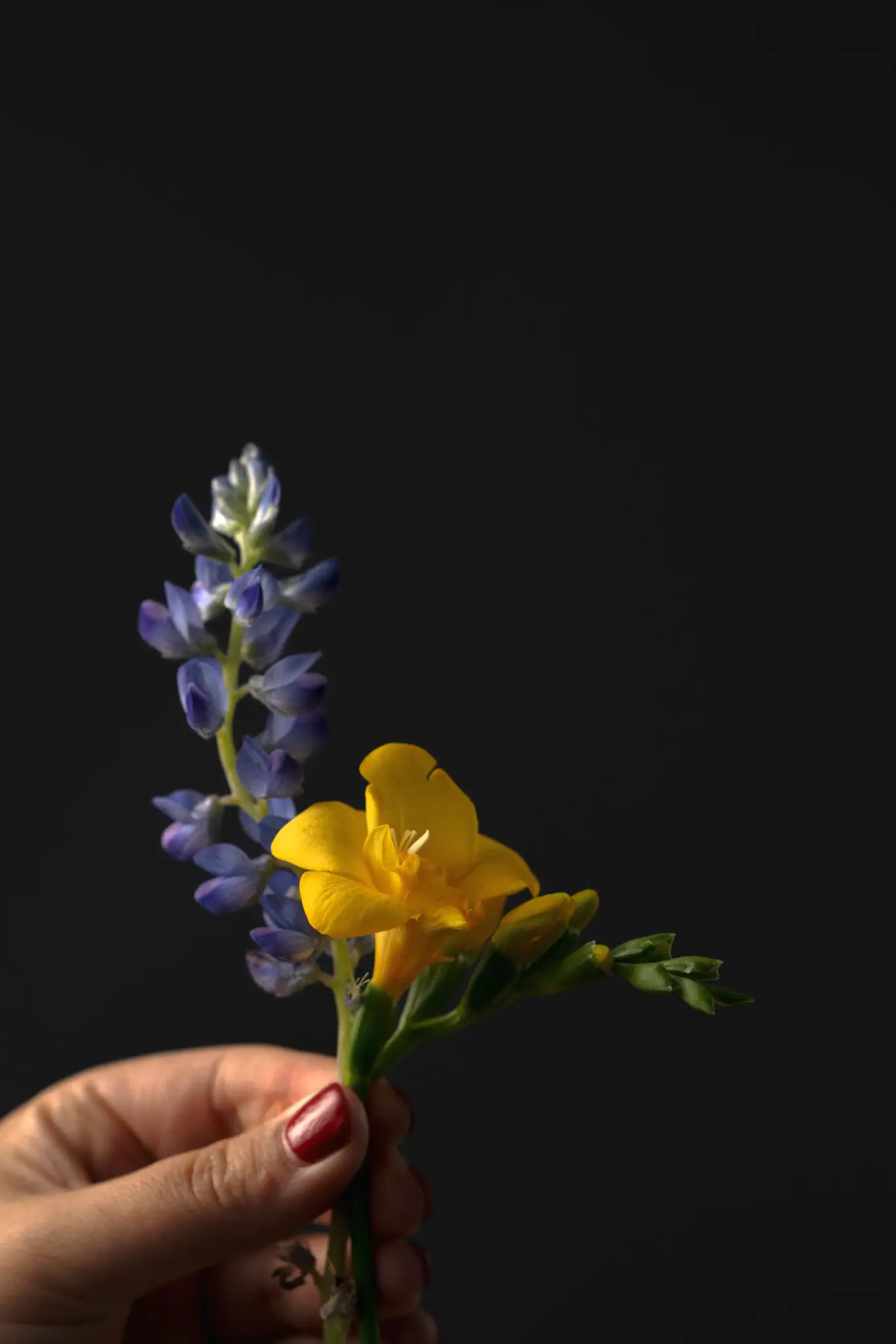 03.- Galería 01