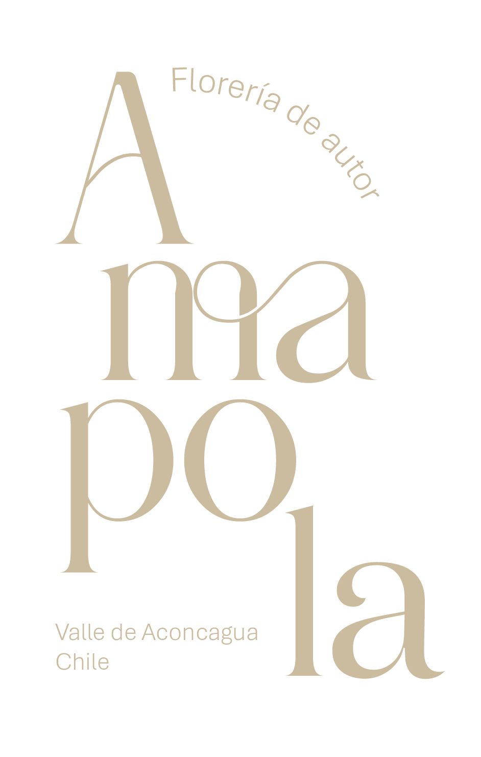 Amapola